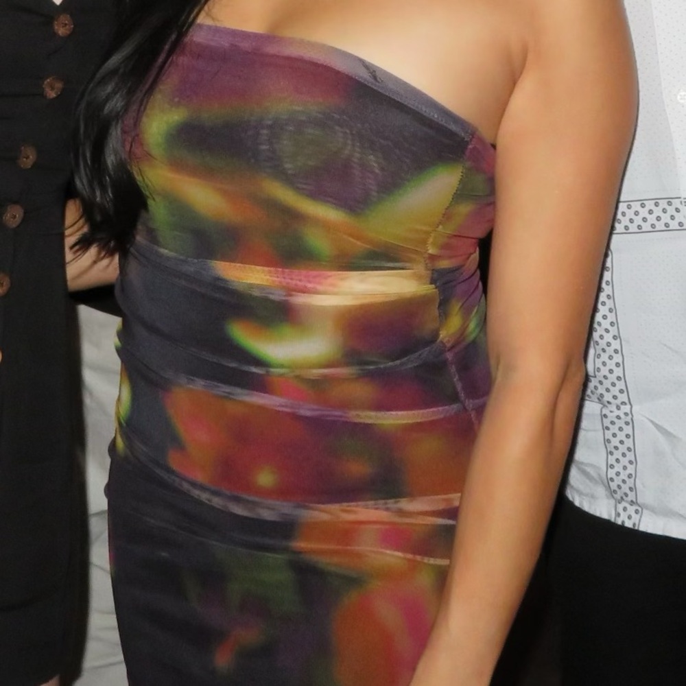 Zara Multicolor Mesh Fabric - Picture 3 of 3